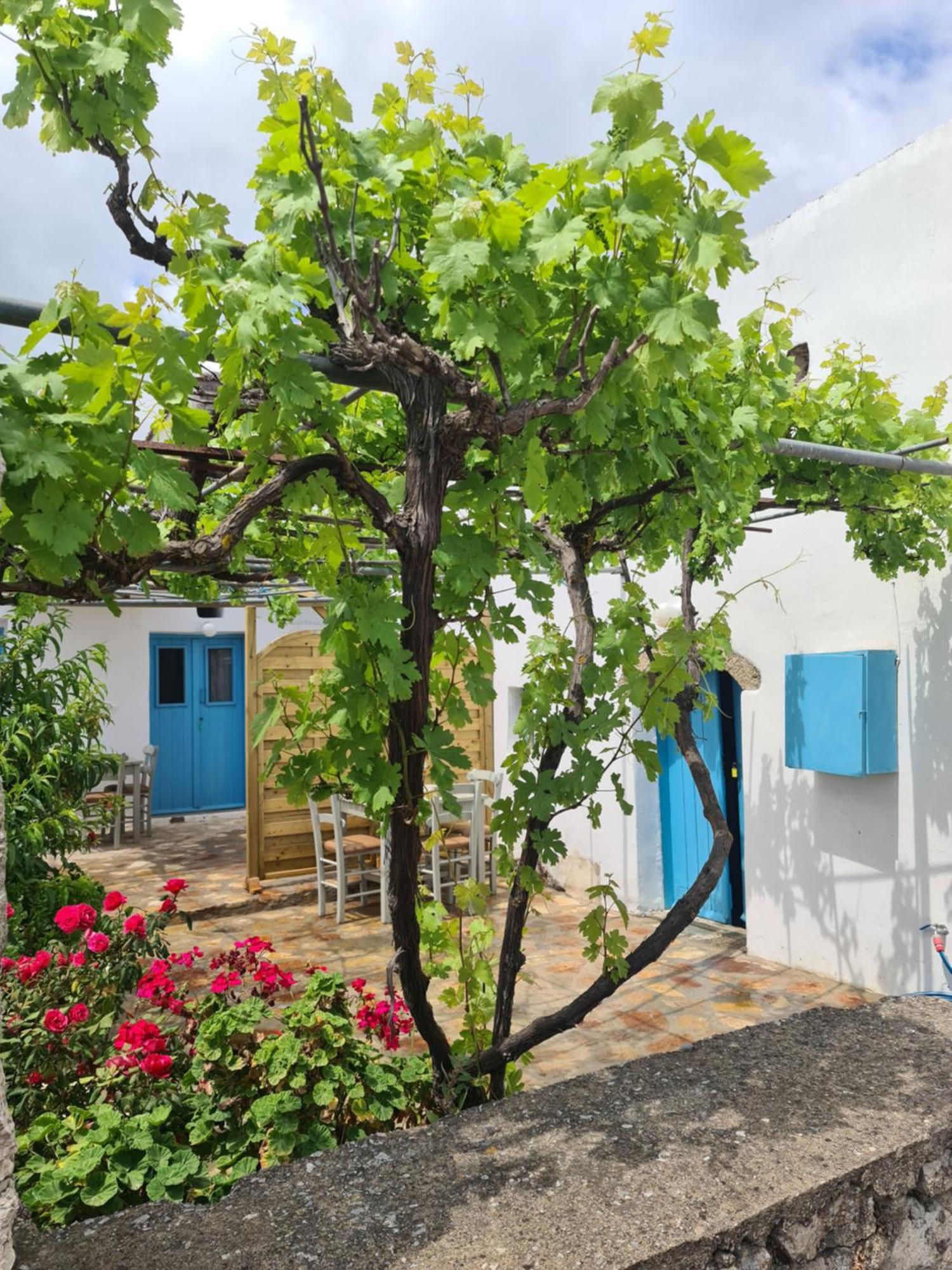 Kamaraki Aroniadika Apartment Kythira Town Bagian luar foto